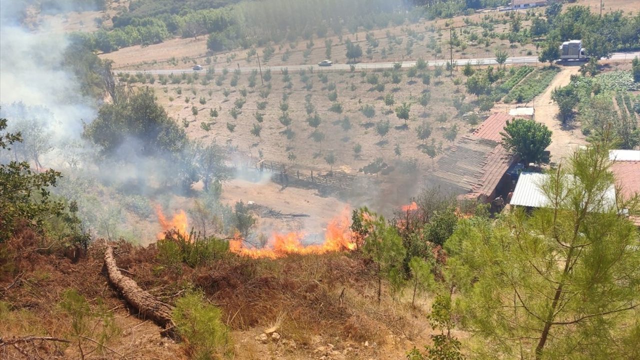 Balıkesir Sındırgı'da Orman Yangını Kontrol Altına Alınmaya Çalışılıyor