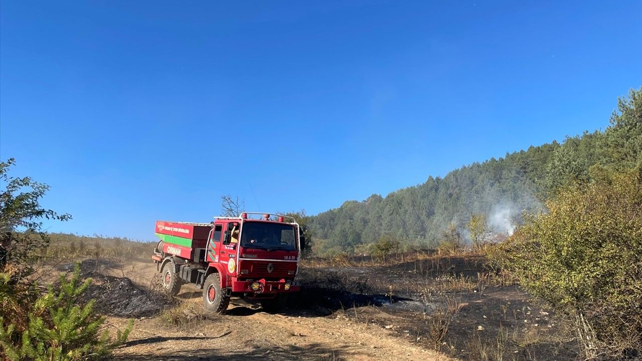 Bilecik'teki Yangın Kontrol Altına Alındı