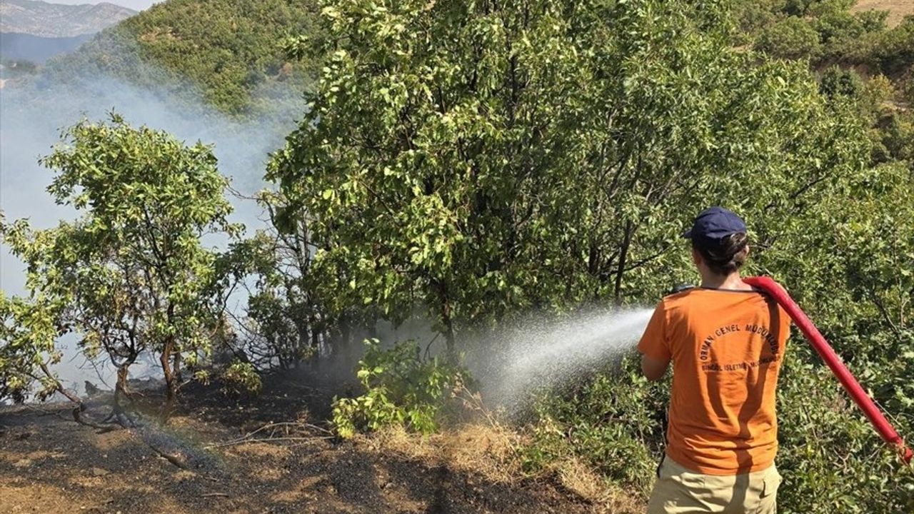 Bingöl'deki Orman Yangınına Müdahale Devam Ediyor