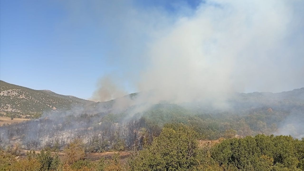 Burdur'da Orman Yangınına Mücadele
