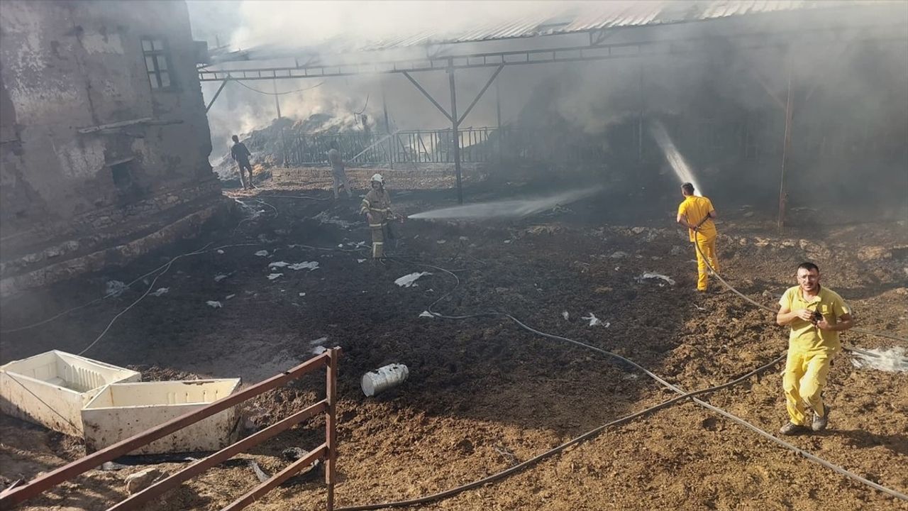 Burdur'da Yangın: 2 İn, 2 Buzağı Hayatını Kaybetti