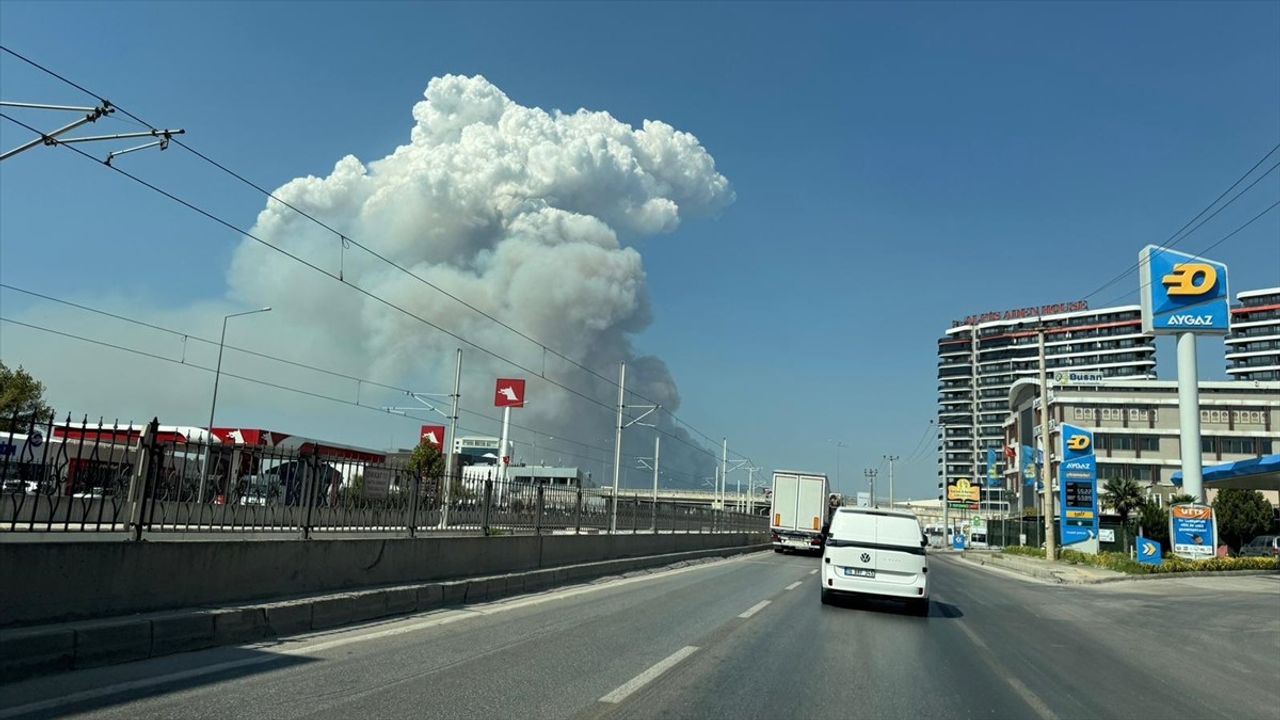 Bursa'da Orman Yangını Kontrol Altına Alınmaya Çalışıyor
