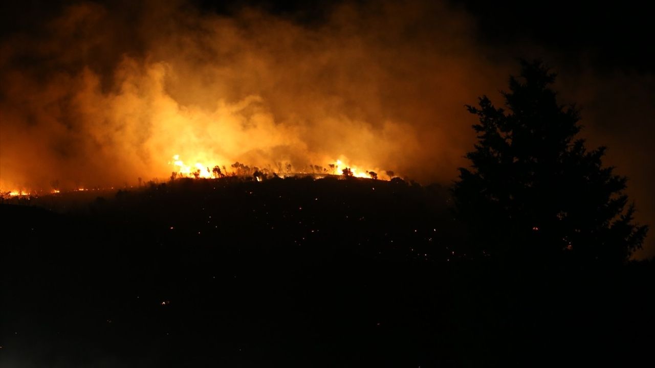 Bursa'nın Karacabey İlçesinde Orman Yangını