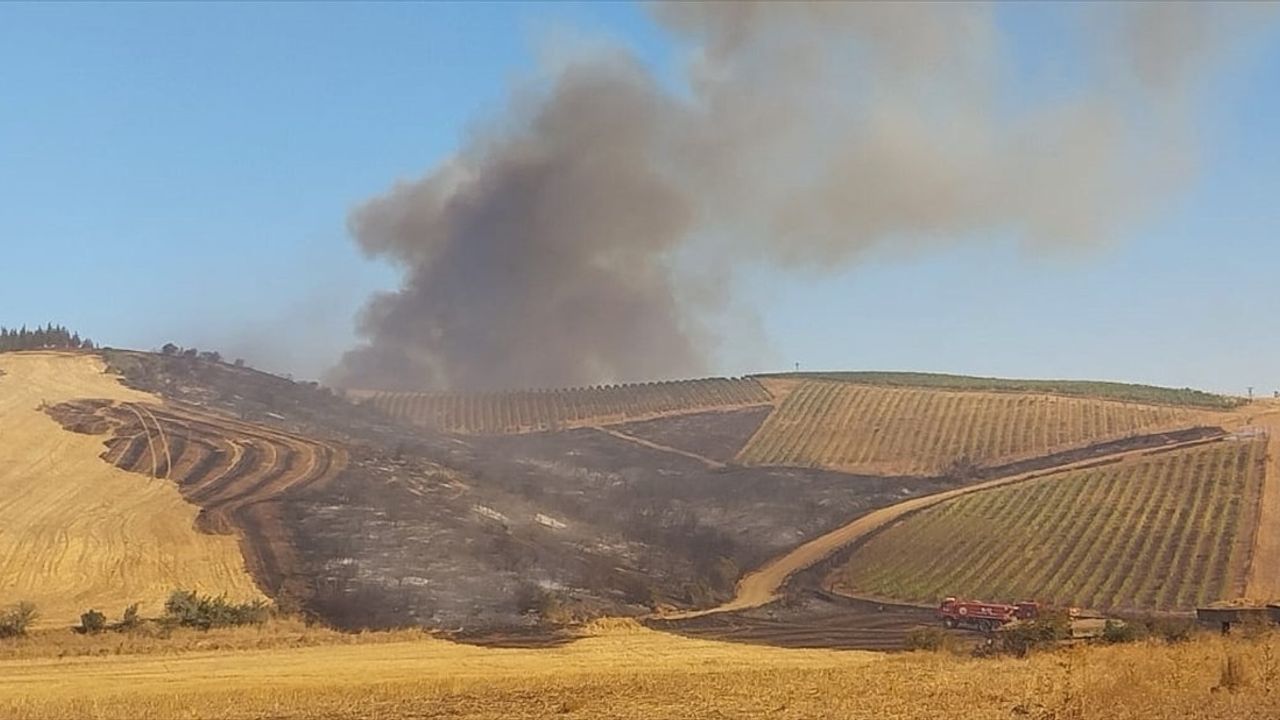 Çanakkale'de Tarım Arazisinde Yangın Kontrol Altına Alındı