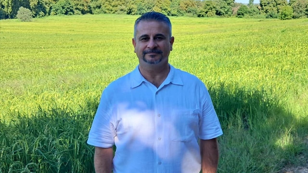Damla Sulama ile Çeltikte Su Tasarrufu ve Verim Artışı