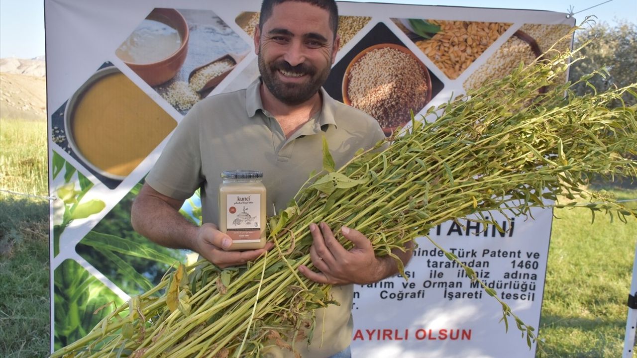 Dergul Tahini ile Susam Üretiminde Artış Yaşanıyor
