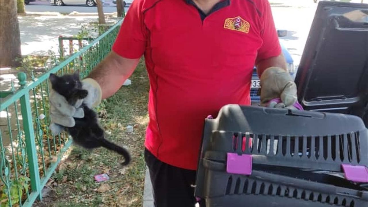 Erzincan'da Motor Bölümüne Sıkışan Kedi Yavrusu Kurtarıldı
