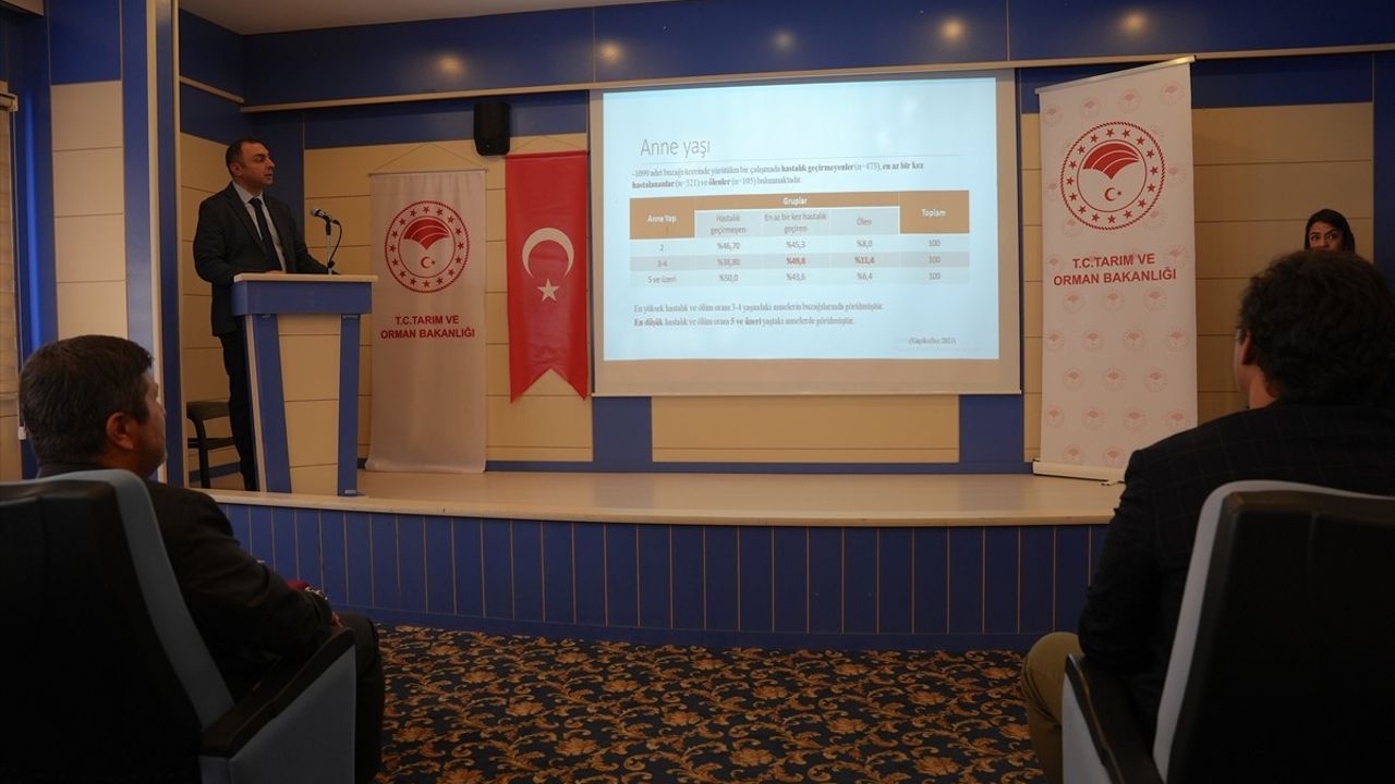 Erzurum'da Veteriner Hekimler İçin Buzağı Sağlığı Eğitimi