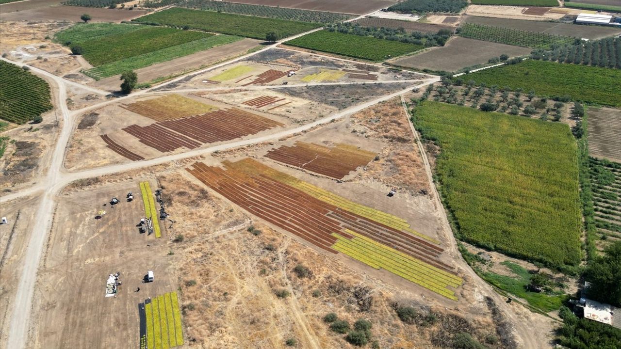 Gediz Ovası'nda Kurutmalık Ürünler Sergi Alanlarını Renklendiriyor