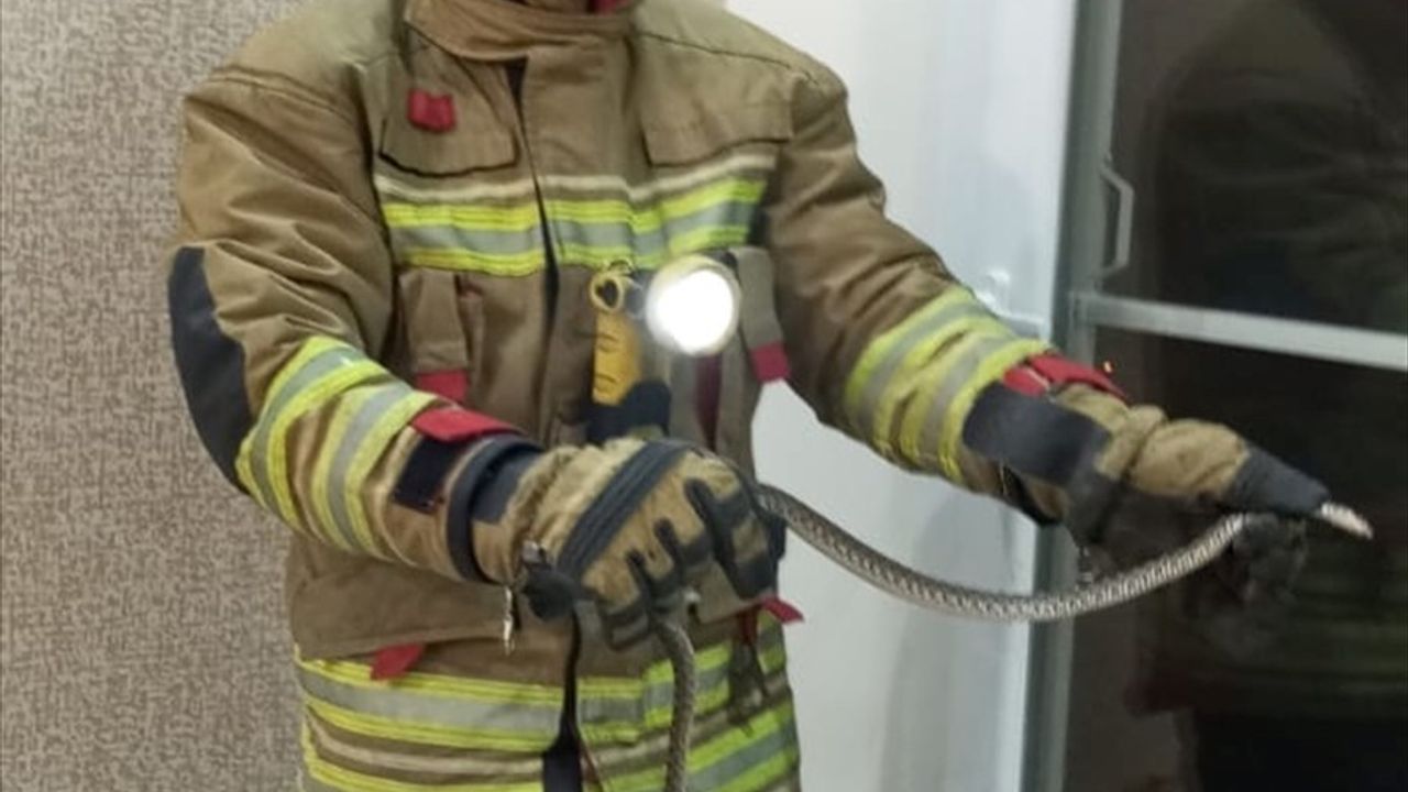 Hatay'da İki Eve Giren Yılanlar İtfaiye Ekiplerince Kurtarıldı