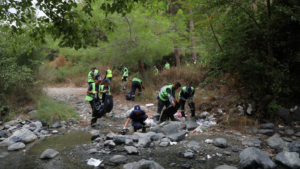 Hatay'da Koruma Altındaki Kum Zambakları ve Deniz Kaplumbağaları İçin Temizlik Çalışması