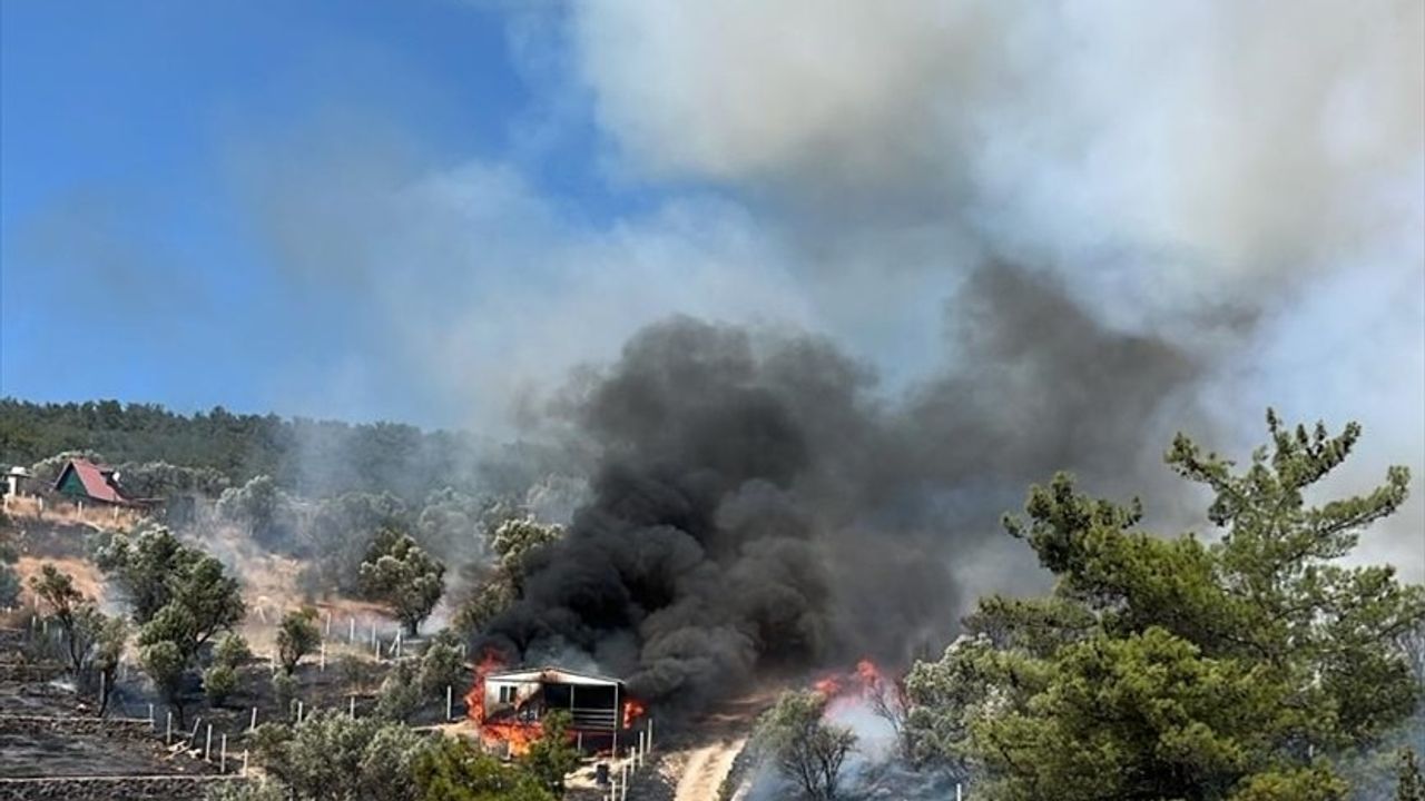 İzmir'de Tarım Arazisinden Ormana Sıçrayan Yangın Kontrol Altına Alındı