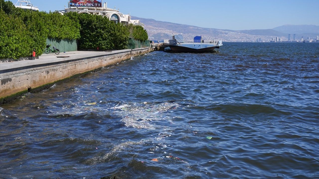 İzmir Körfezi'nde Balık Ölüm Vakaları Devam Ediyor