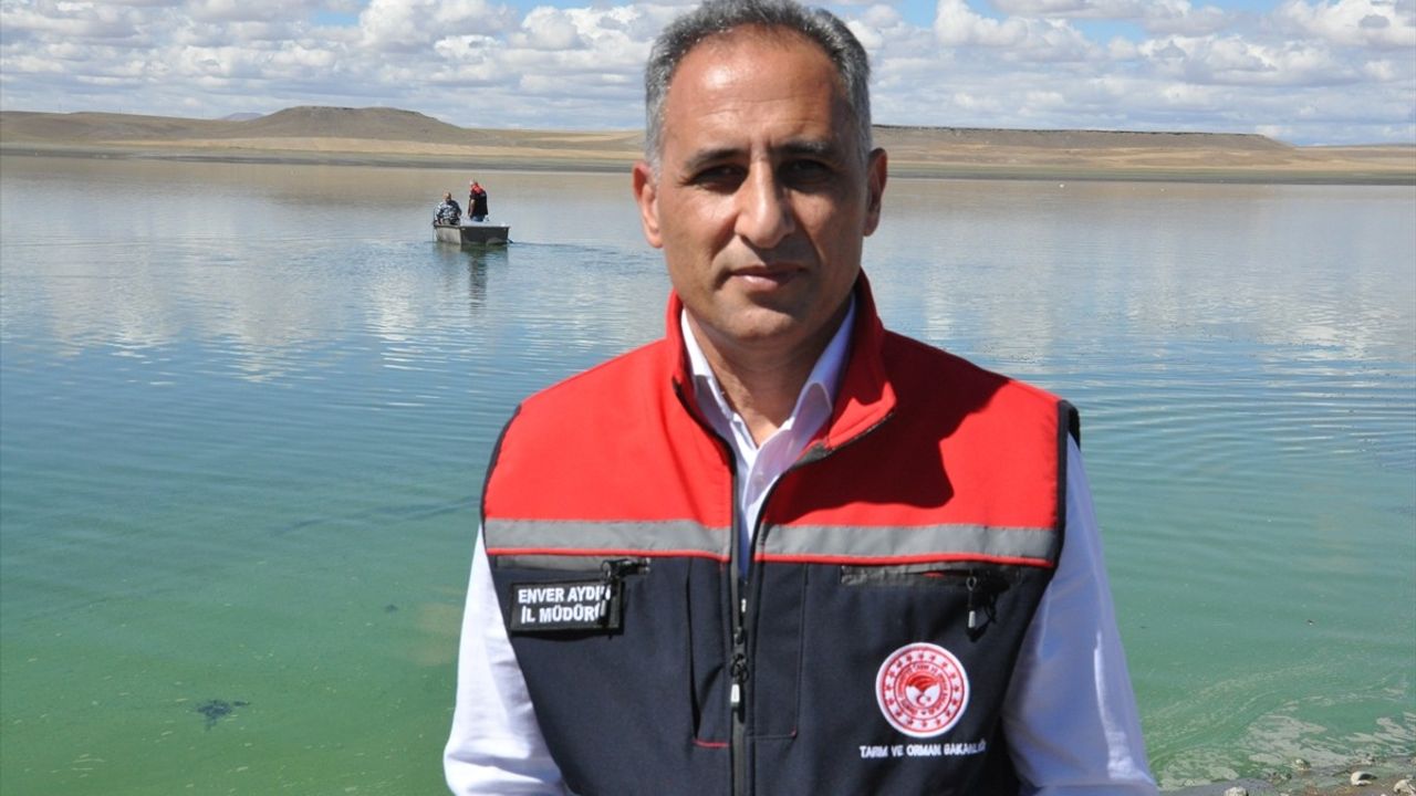 Kars'ta 500 Bin Sazan Yavrusu Göl ve Göletlere Bırakıldı