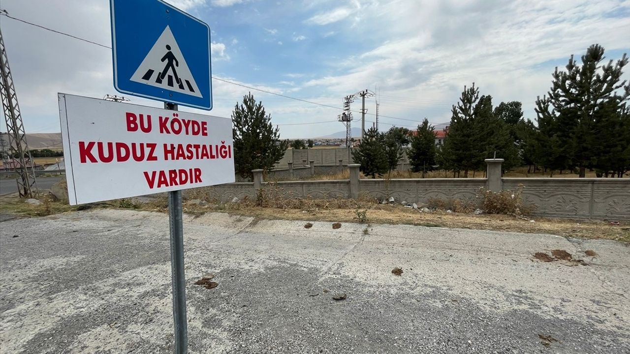 Kars'ta Kuduz Tehdidi: Dağpınar Beldesi Karantinaya Alındı