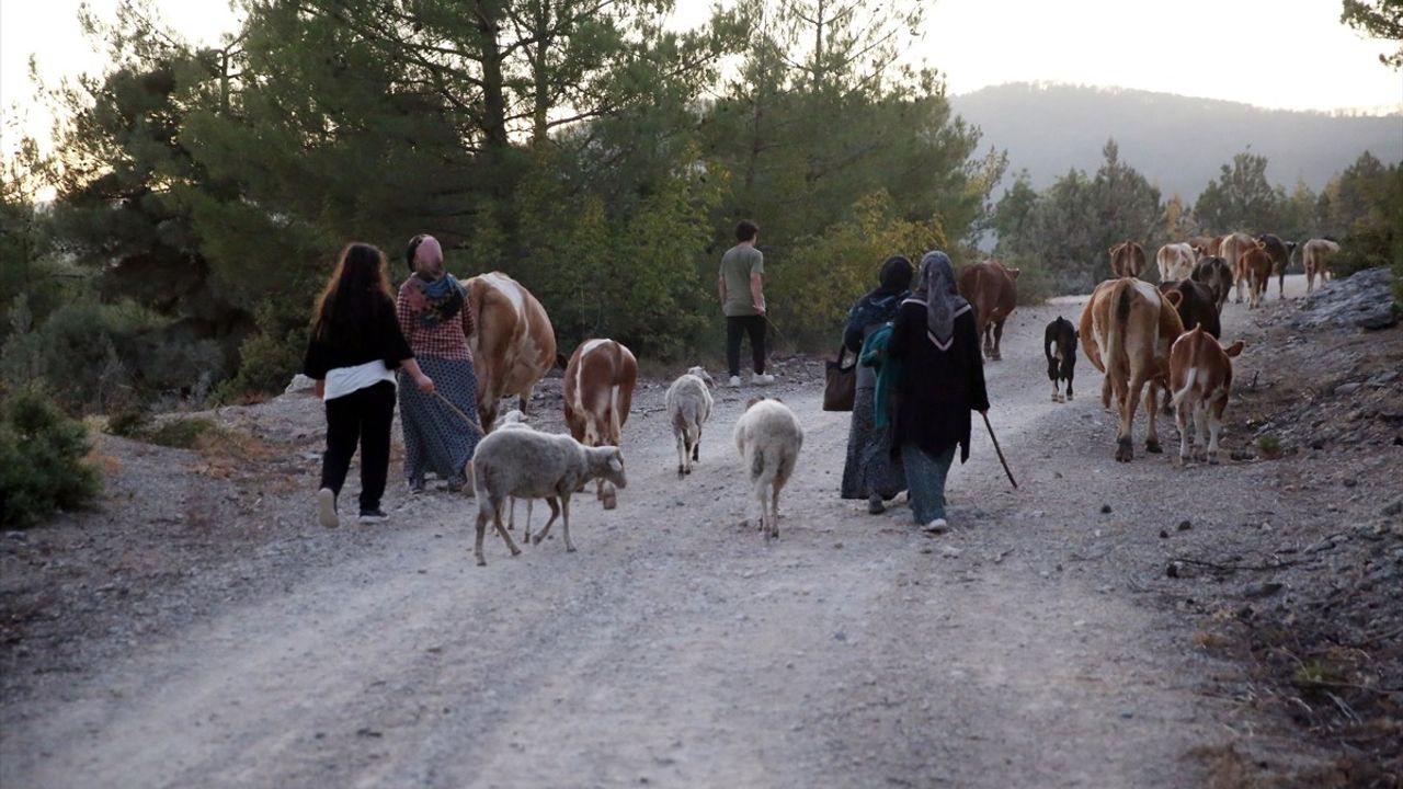 Kastamonu-Karabük Orman Yangınları Kontrol Altına Alındı