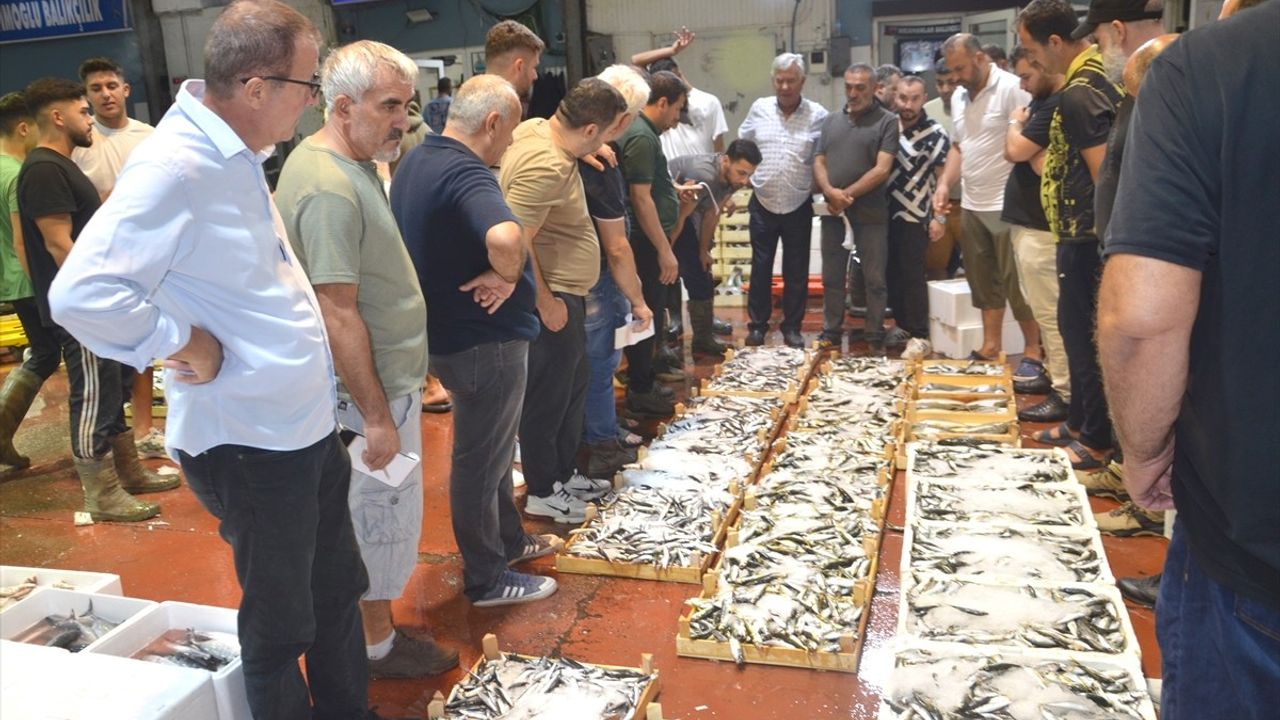 Kocaeli'de Yeni Balık Mezadının İlk Sezonu Başladı