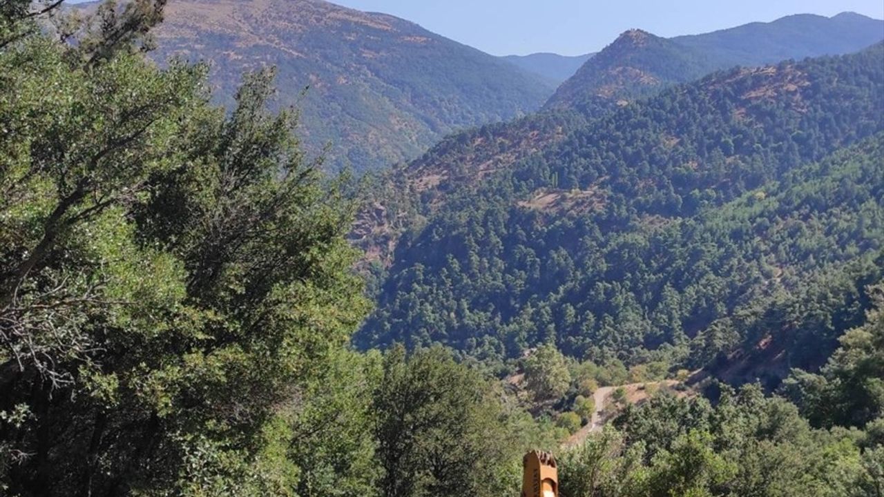 Manisa'da İş Makinesi Uçuruma Düştü, Operatör Hayatını Kaybetti