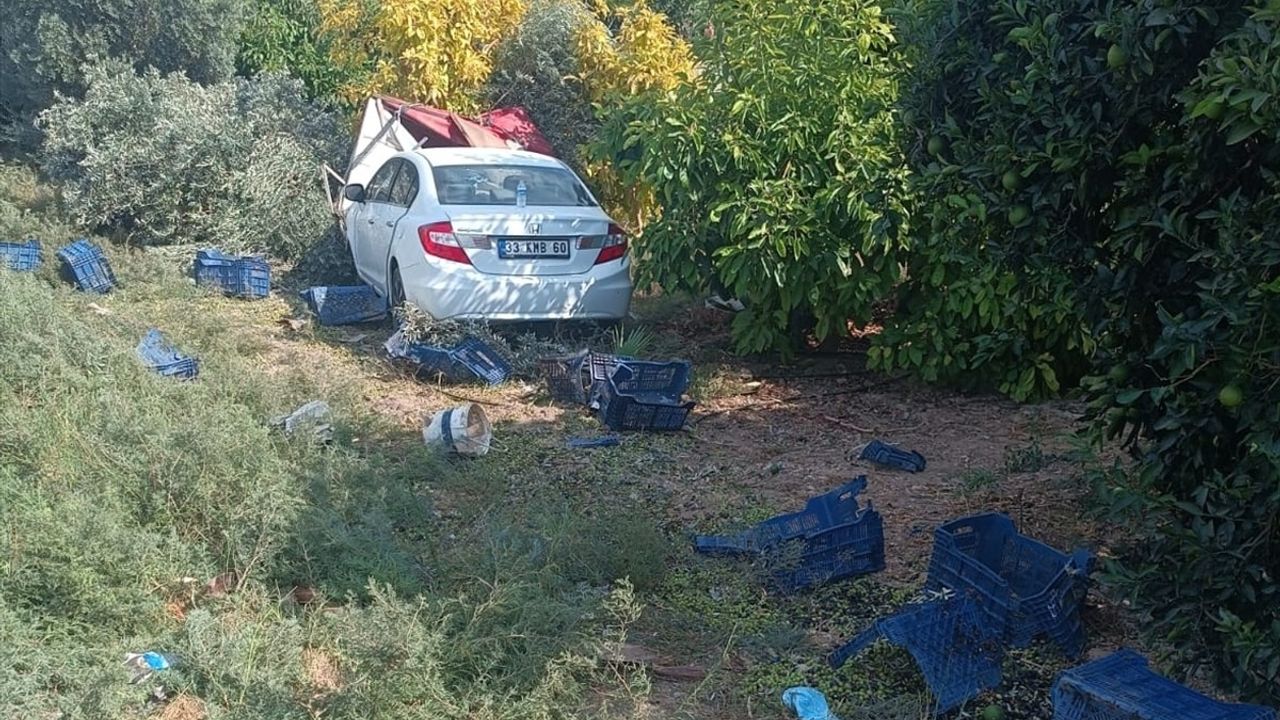 Mersin'de Zeytin İşçilerine Otomobil Çarptı: 1 Ölü, 3 Yaralı