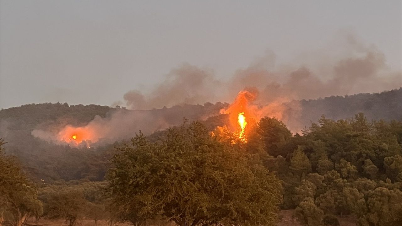 Milas'taki Orman Yangınına Müdahale Devam Ediyor