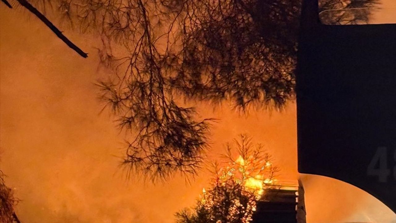 Muğla'daki Orman Yangını Kontrol Altına Alındı