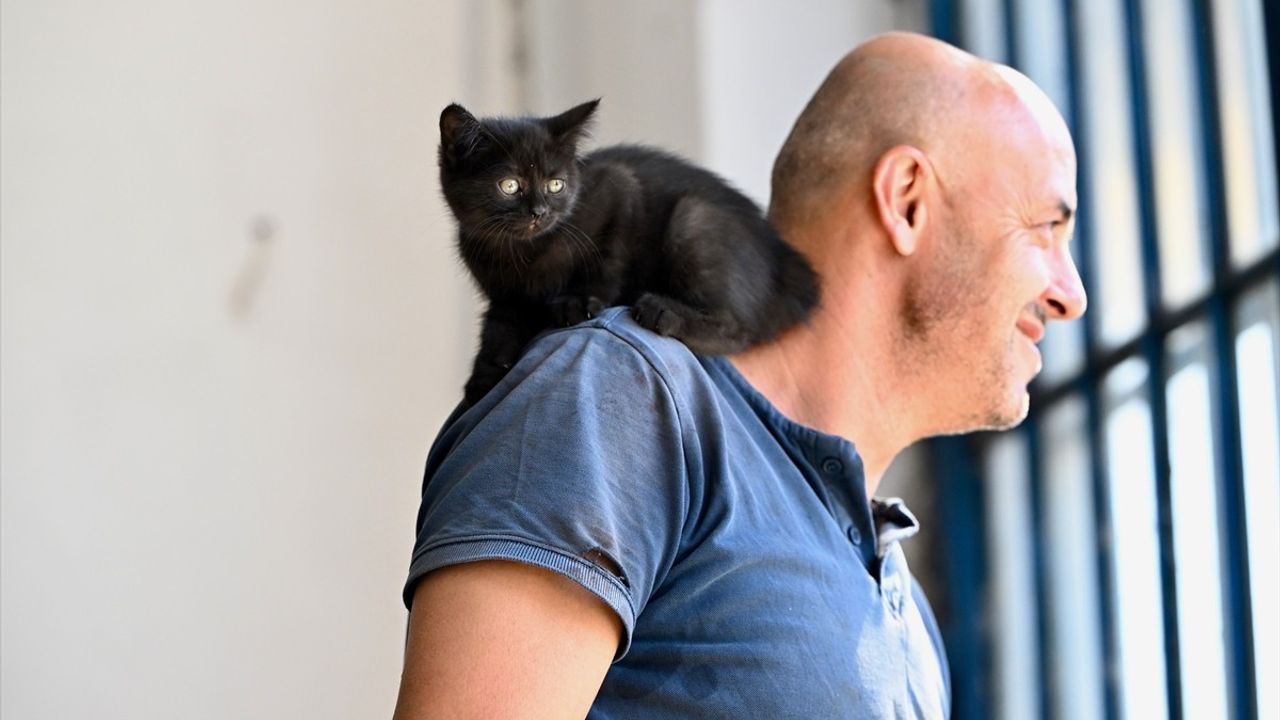 Otomobilin Motorundan Sahiplendiği Kedi Yavrusu Neşe Kaynağı Oldu