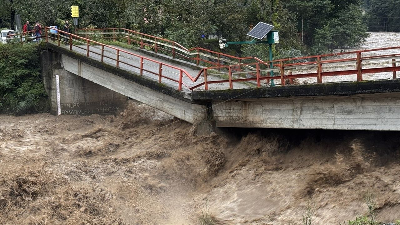 Rize'deki Sağanak Yağışın Etkileri: Heyelanlar ve Kurtarma Çalışmaları