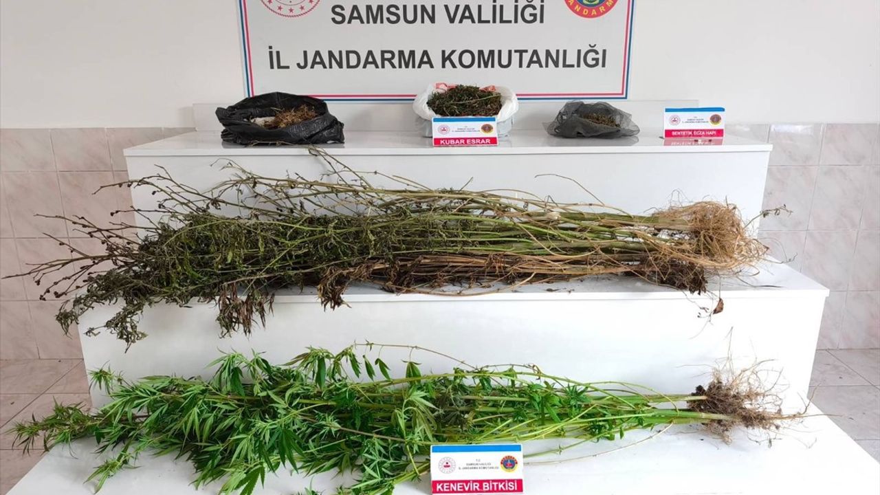 Samsun Bafra'da Uyuşturucu Operasyonu: 3 Gözaltı
