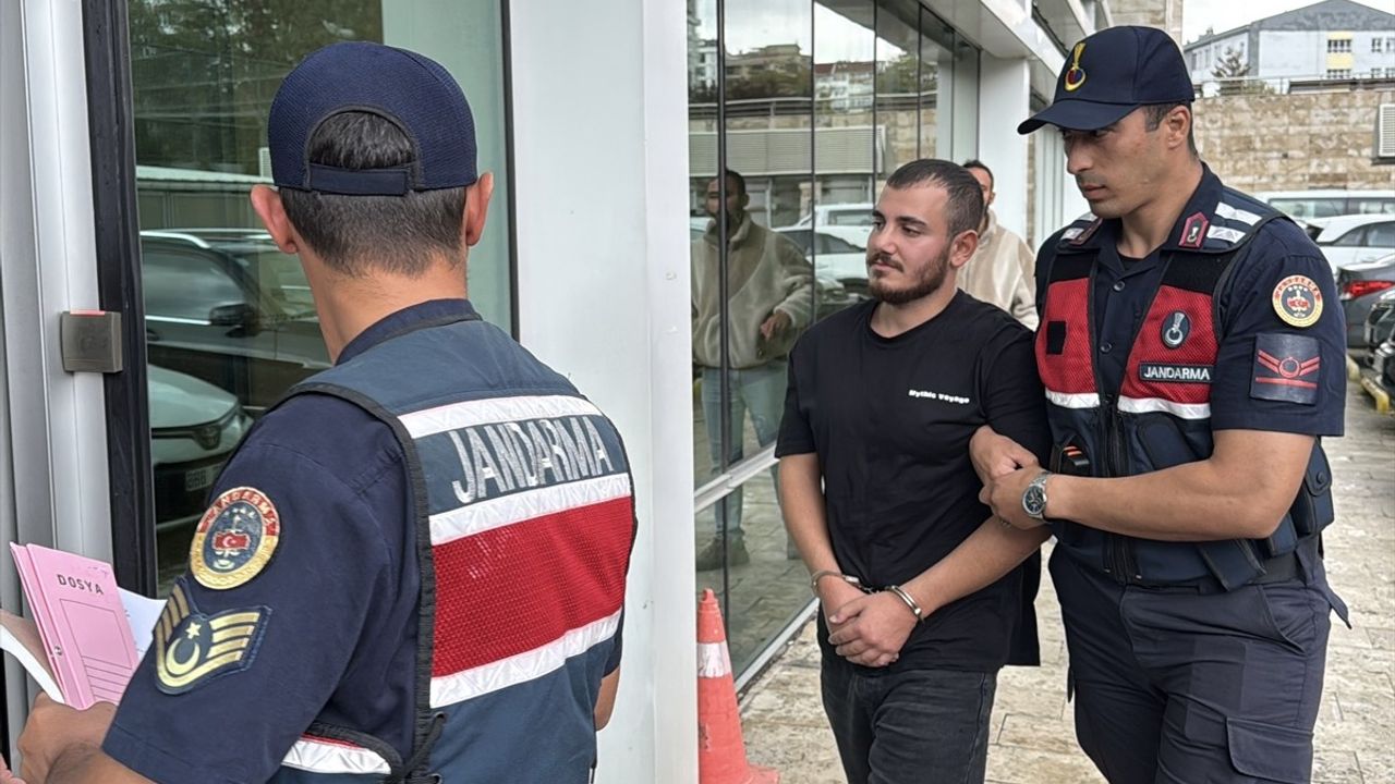 Samsun'da Ormanlık Alanda Darp Olayı: İki Şüpheli Yakalandı