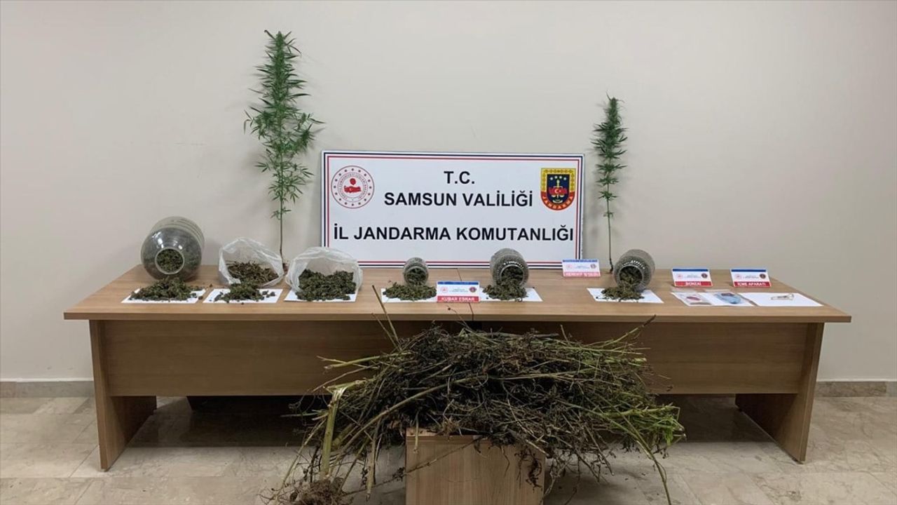 Samsun’da Uyuşturucu Operasyonu: 1 Gözaltı