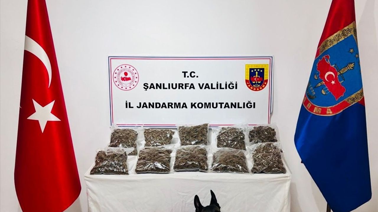 Şanlıurfa'da Uyuşturucu Operasyonu: 6 Tutuklama