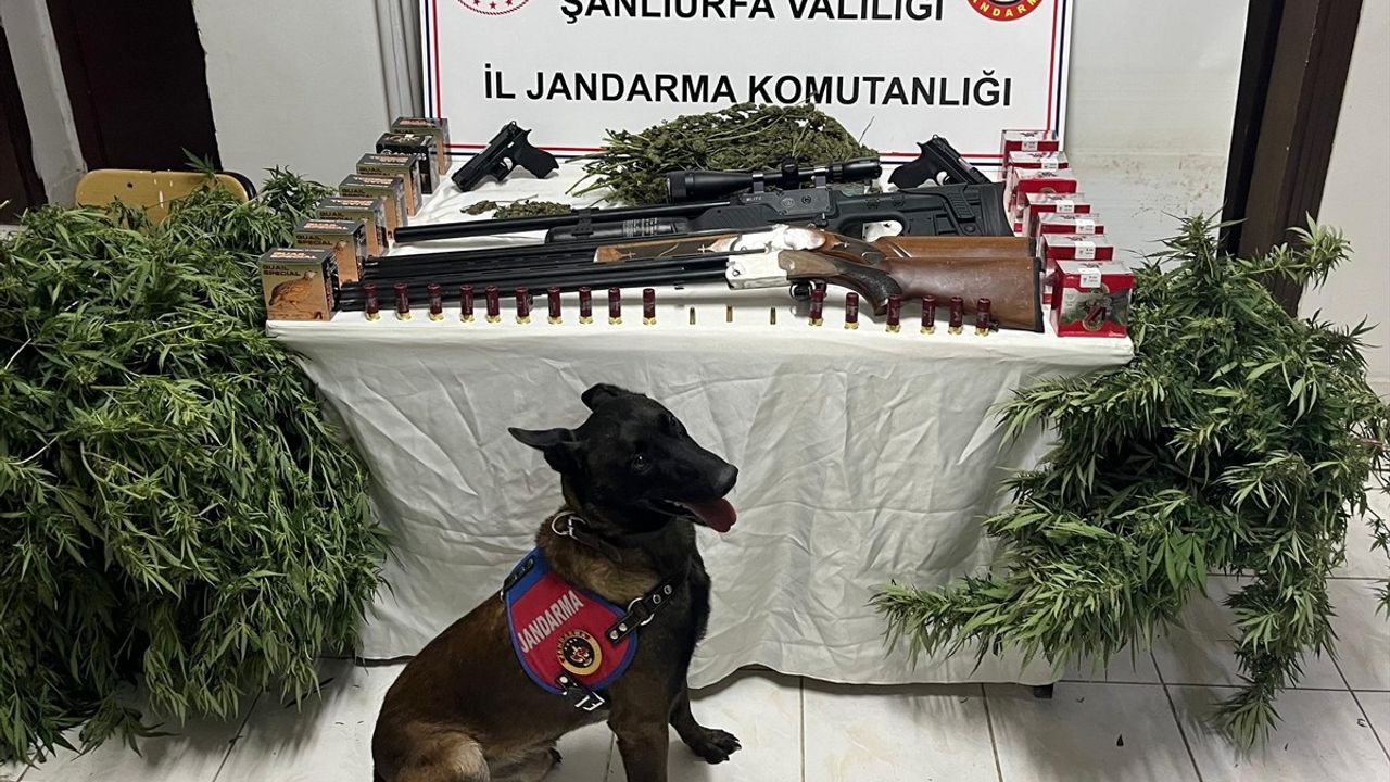 Şanlıurfa'da Uyuşturucu ve Silah Kaçakçılığı Operasyonu