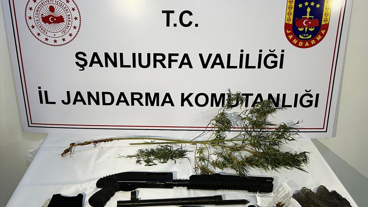 Şanlıurfa'da Uyuşturucu ve Silah Kaçakçılığı Operasyonu