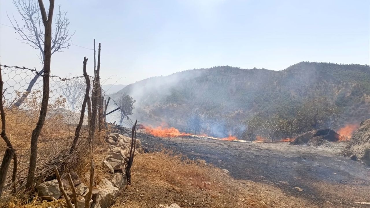 Şırnak'ta Yangın: Ahır ve Samanlılar Zarar Gördü