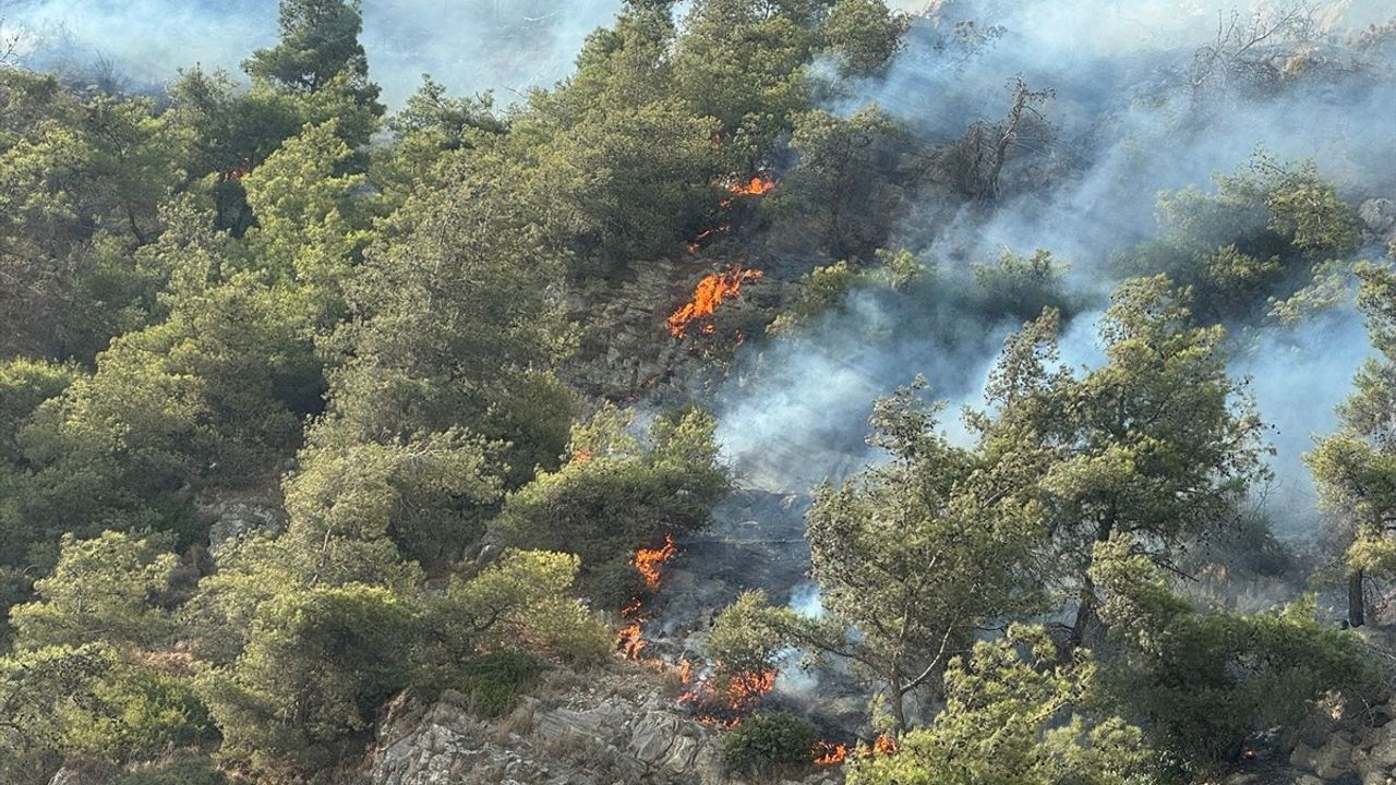 Söke'de Orman Yangınına Müdahale
