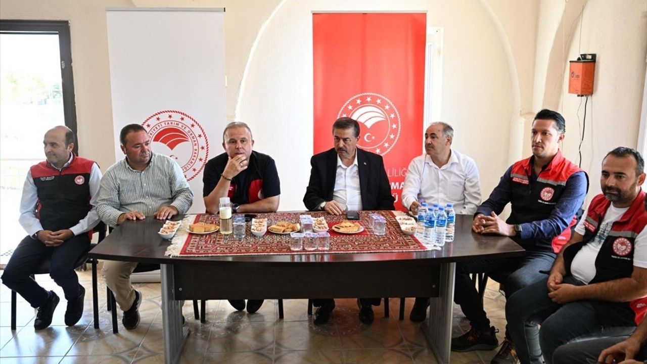 Sultan Sazlığı'nda Su Tasarrufu İçin Yeni Tarım Stratejisi