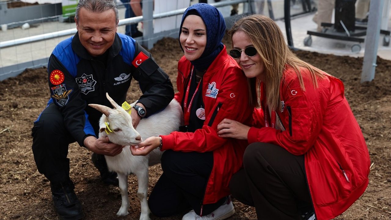TEKNOFEST İstanbul'da Tarım Teknolojileri Kümelenmesi'nin İkinci Günü