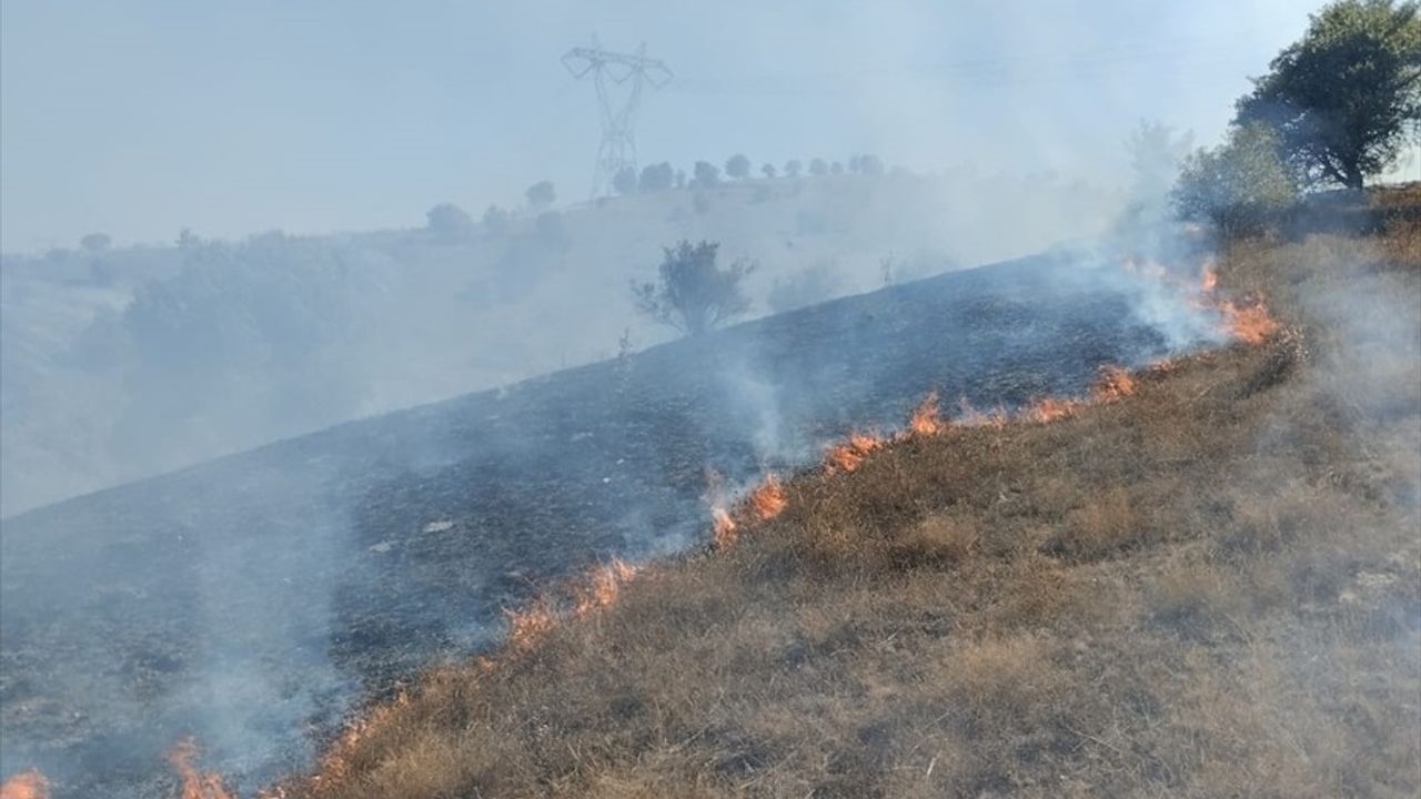 Tokat'ta Makilik Alanda Yangın: Müdahale Devam Ediyor