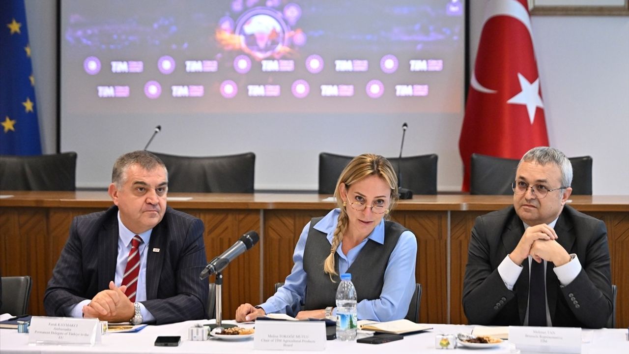 Türkiye-AB Tarım İşbirliği Görüşmeleri Brüksel'de Yapıldı