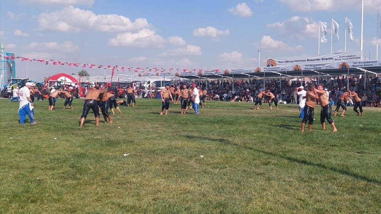 Yıldıray Pala Kel Aliço Pehlivan Yağlı Güreşleri'nin Başpehlivanı