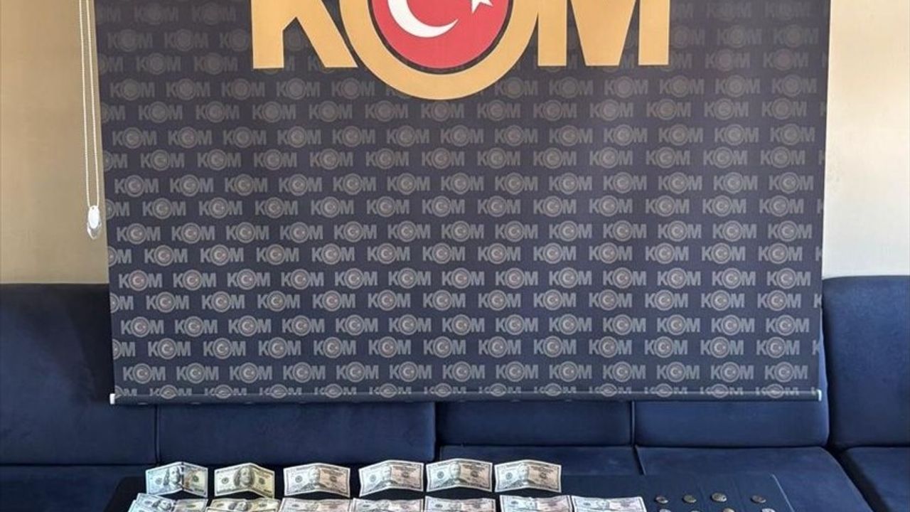 Ağrı'da Sahte Dolar Operasyonu: Bir Kişi Tutuklandı