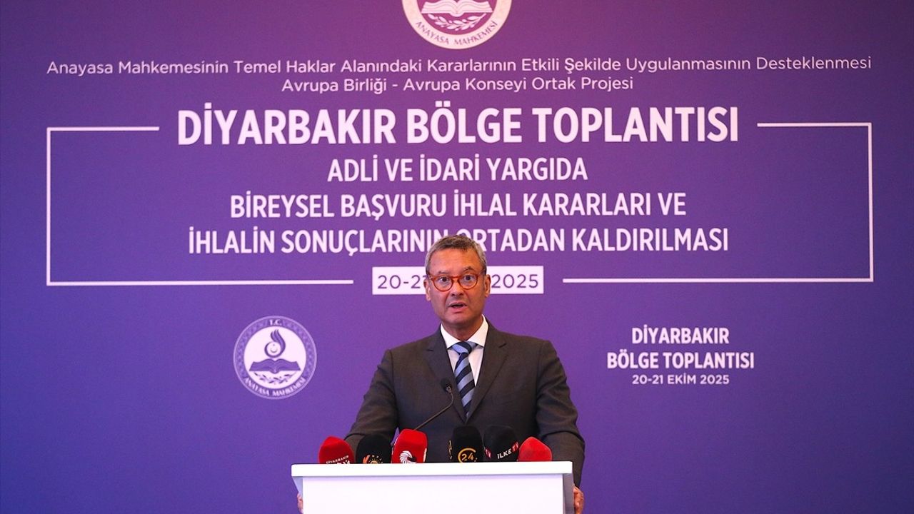 Anayasa Mahkemesi Başkanı Kadir Özkaya'dan Diyarbakır'da Bireysel Başvurular Üzerine Açıklamalar