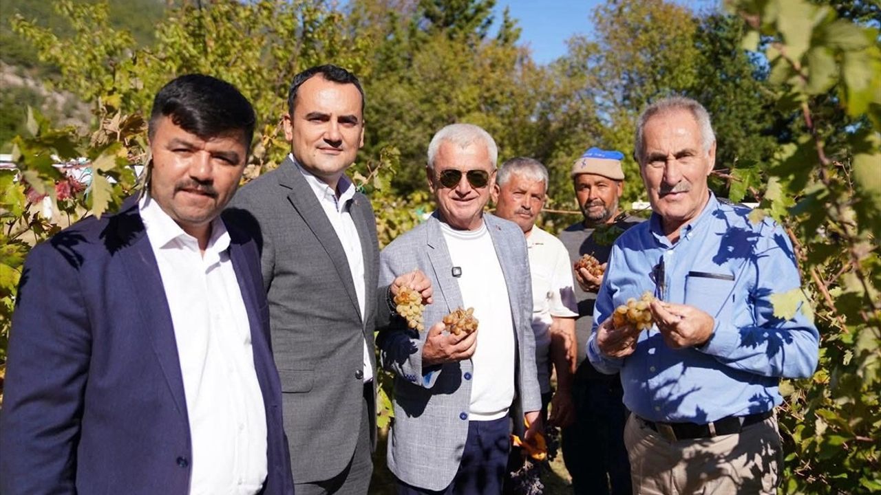 Antalya'da 2. Yazır Üzümü Şenliği Coşkusu