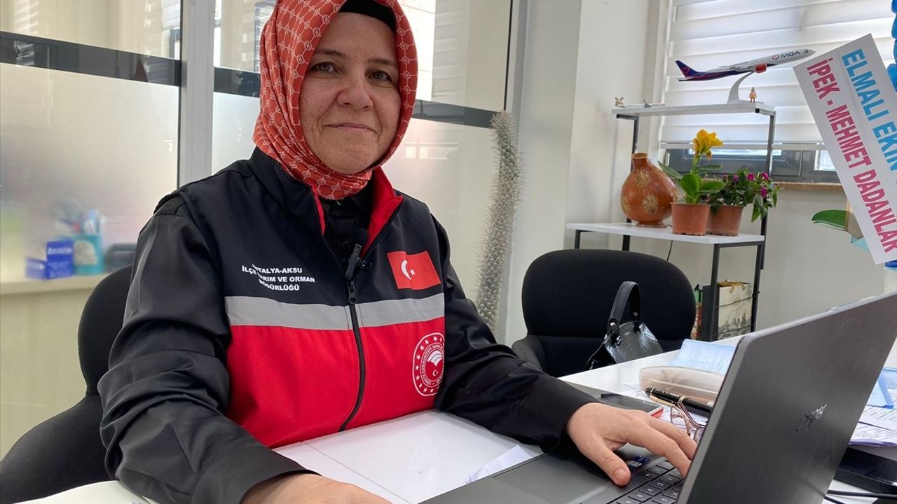 Antalya'da Fırtına Sonrası Seralarda Hasar Tespiti