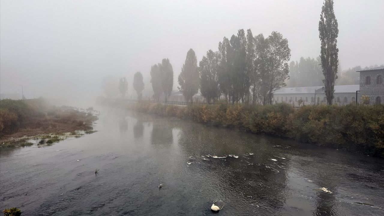 Ardahan'da Etkili Sis Görüş Mesafesini Düşürdü