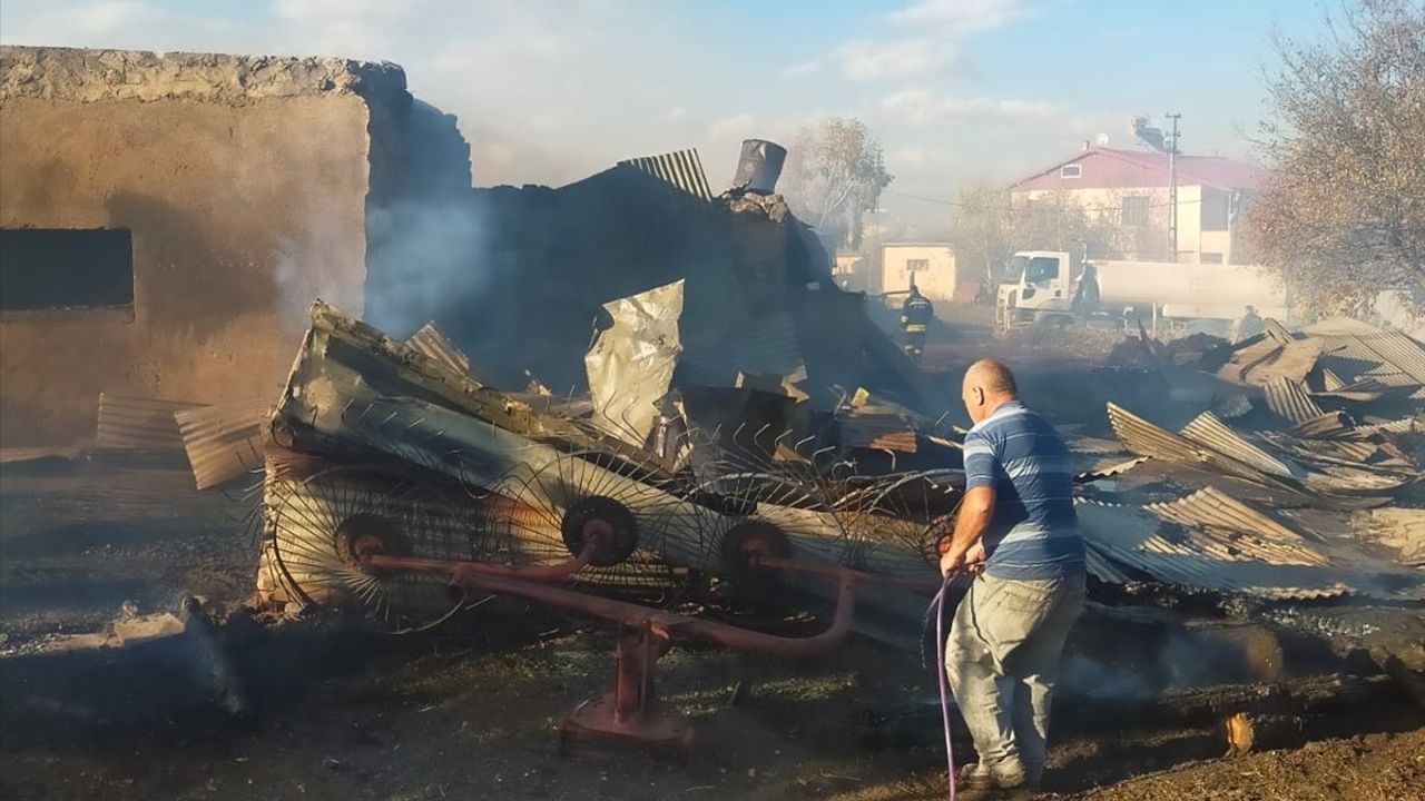 Ardahan'da Yangın Faciası: 23 Hayvan Telef Oldu
