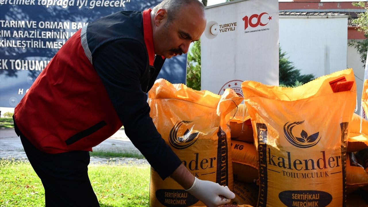 Batman'da Çiftçilere Mercimek Tohumu Dağıtımı Yapıldı