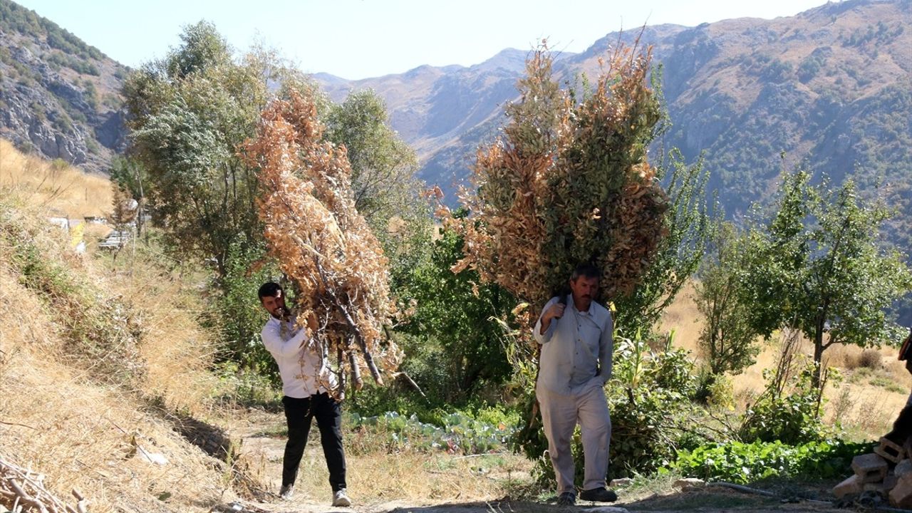 Bitlis'in Ziyaret Köyü'nde Arıcılık: İsmet Akkoyun'un 2,5 Ton Bal Üretimi