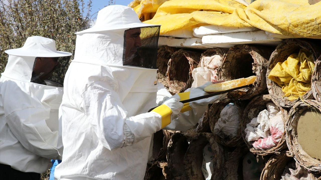 Bitlis'te Karakovan Balı Hasadı Gerçekleşti