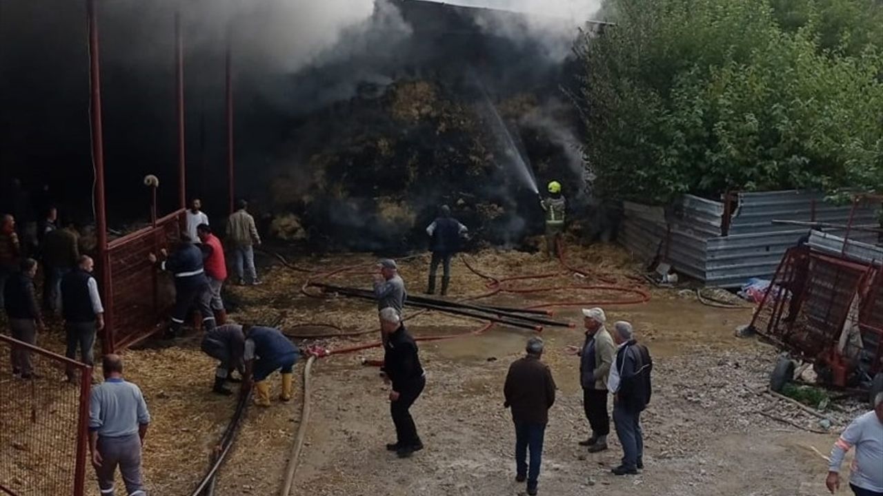 Bursa'da Ahır Yangını: 170 Küçükbaş Hayvan Telef Oldu